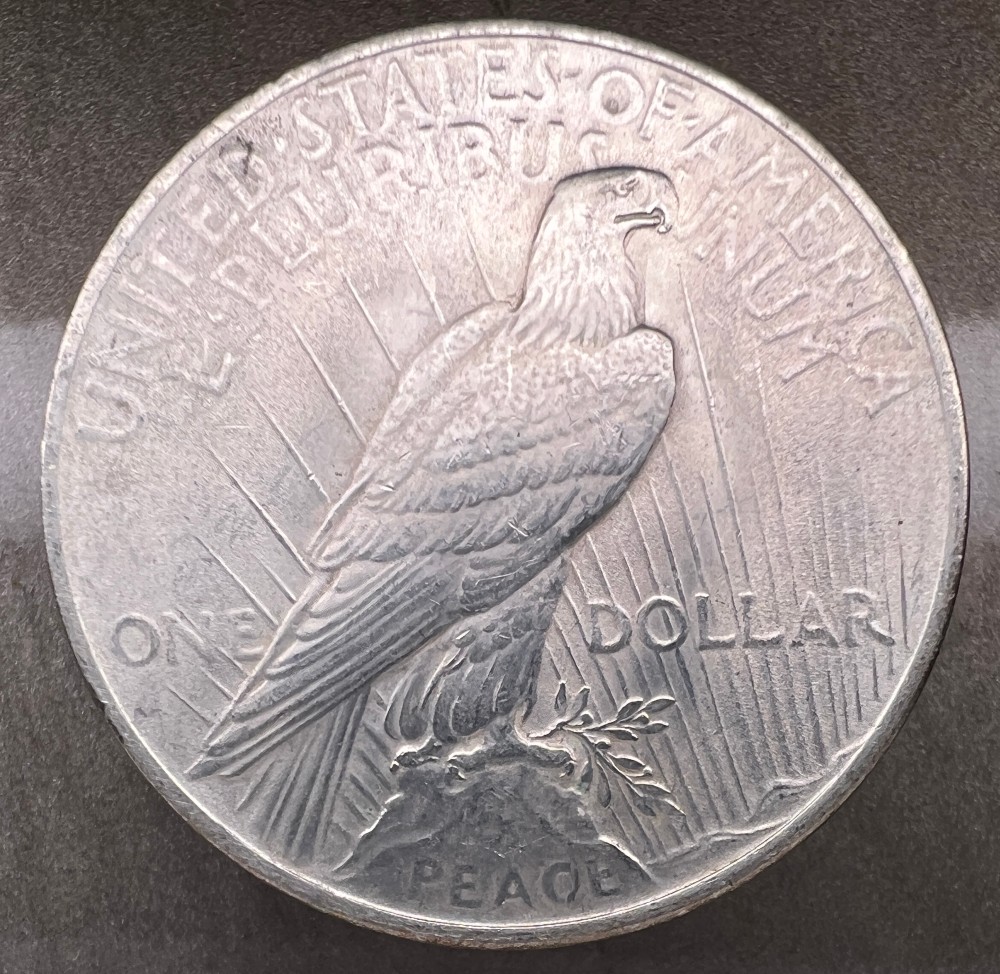 10-Days-Of-Peace-Dollars!